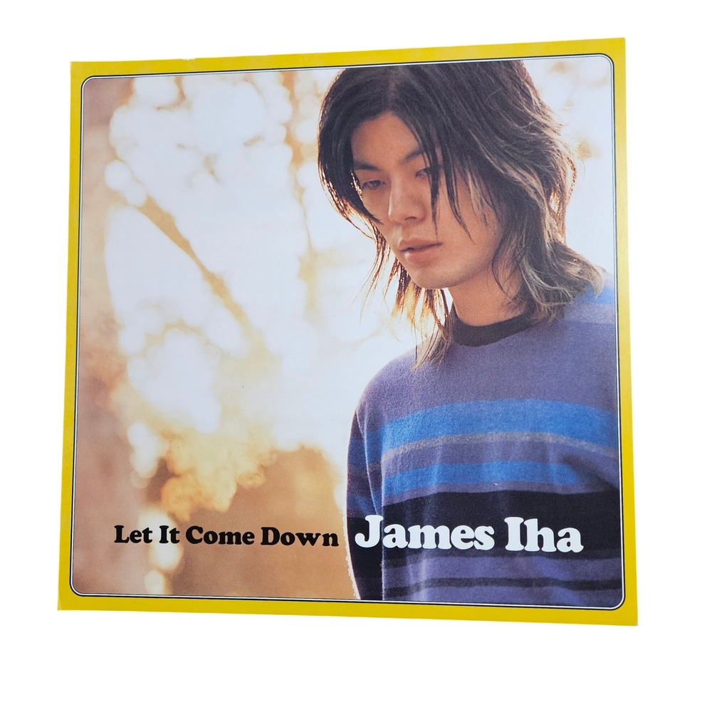 James Iha Let It Come‎ Down Vintage 1998 Promo Flat Poster 12x12 Double Sided